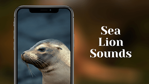 Sea lion sounds Screenshot 1 - AppWisp.com