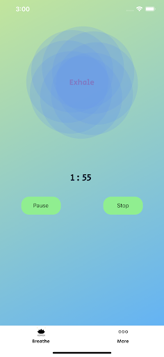 Mindful Breaths Screen 2
