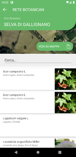 Retebotanican Screen 3