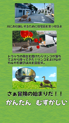 カルガモ親子冒険記 Screen 3