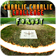 Charlie Charlie Challenge ( Forest )