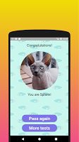 screenshot of What cat breed are you? Test