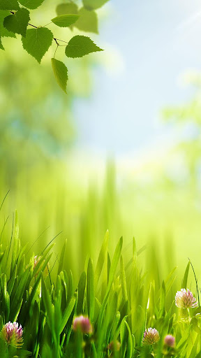 Spring Live Wallpaper Screen 2