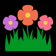 Celosia Asian Garden