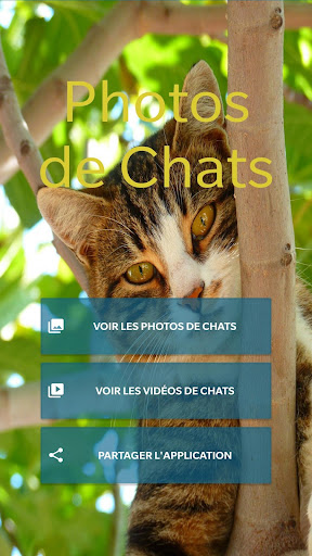 Aperçu de l'application