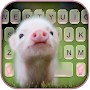 Cute Piggy Keyboard Background