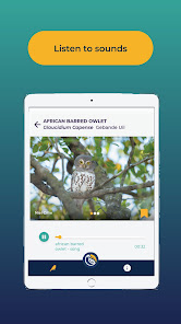 Screenshot 9 BirdScan android