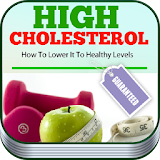 High Cholesterol icon