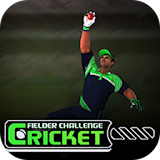 Cricket Fielder Challenge icon