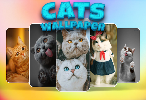 Android application Cat Wallpaper screenshort