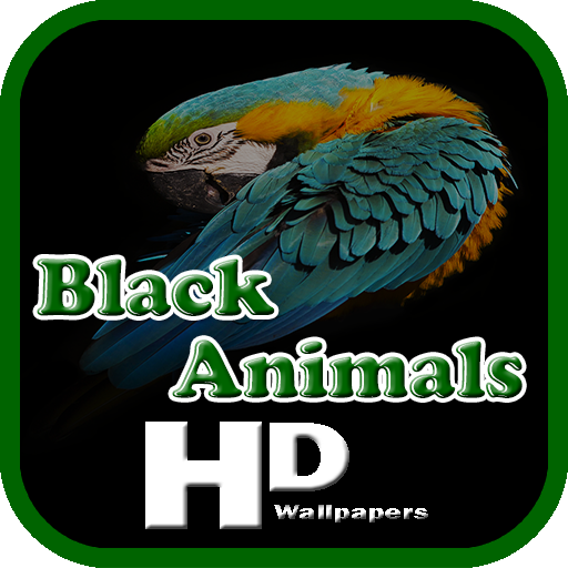 Black Animals Wallpaper HD logo