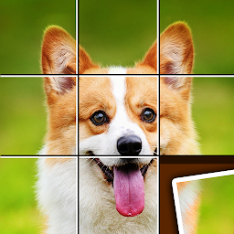 Icon image Shape Sort - jigsaw puzzle