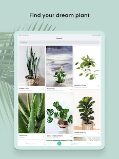PlantIn: Plant Identification  Screenshots 20