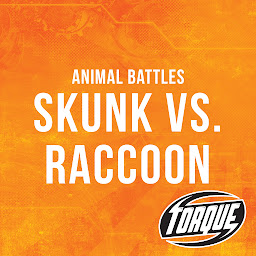 Icon image Skunk vs. Raccoon
