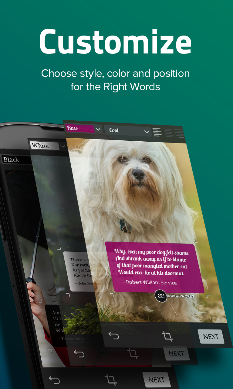 Android application The Right Words screenshort