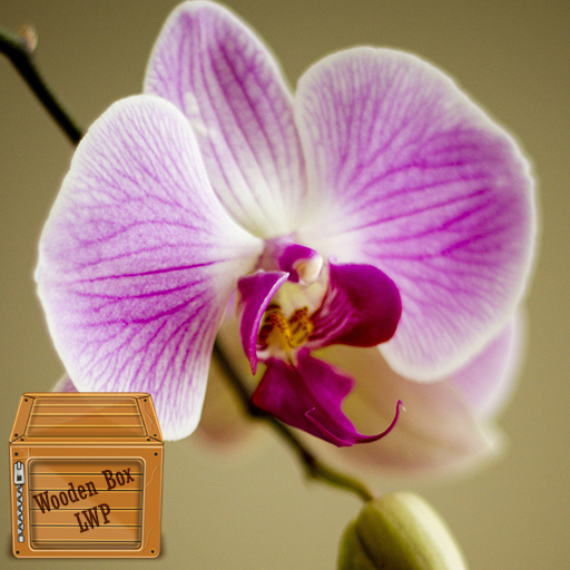 orchids wallpaper logo