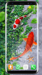 Koi Fish Live Wallpapers