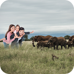 Cover Image of Download Wild Animal Photo Editor 8.0.1 APK