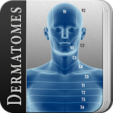 Dermatome Nerve Distribution icon