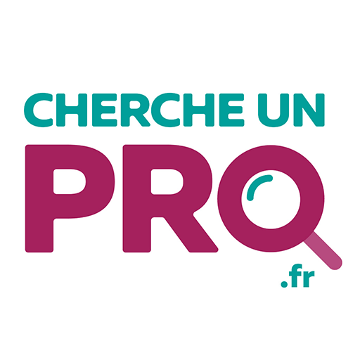 Cherche un pro logo