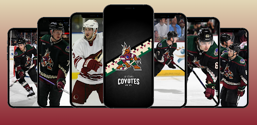 Android application Arizona Coyotes Wallpapers 4K screenshort