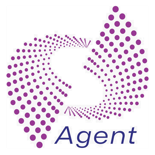 DSB Agent logo