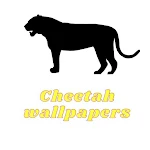 Cover Image of Tải xuống Cheetah wallpapers 6 APK