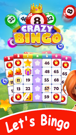 Game screenshot Crazy Bingo mod apk