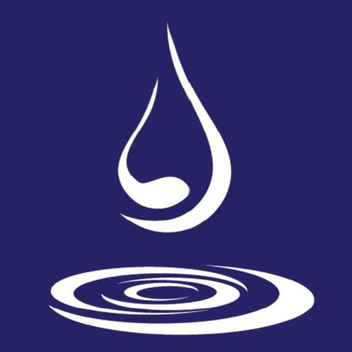 David Boissons logo