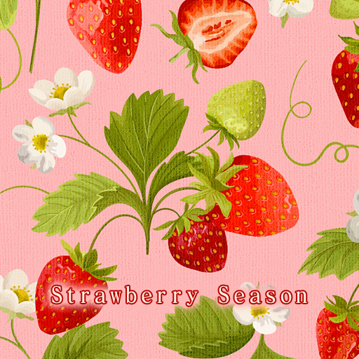 Strawberry Season Theme +HOME  Icon