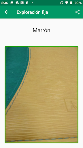 Identificador de colores ONCE Screen 3
