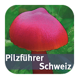 Pilzführer Schweiz icon