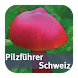 Pilzführer Schweiz - Androidアプリ