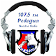 Radio Pedegua Laai af op Windows