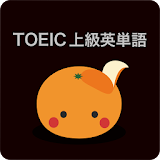 mikan TOEIC 上級編 icon