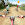 BMX Rider: Cycle Race Game