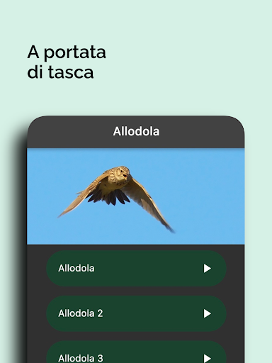 Caccia: Richiami Selezionati screenshot 5