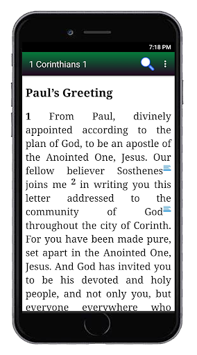 Bible AMP Screenshot