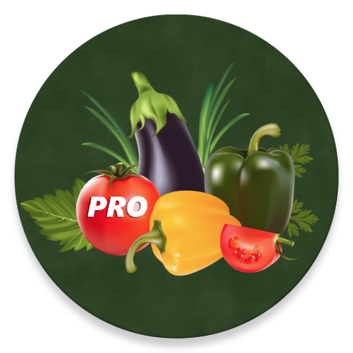 Овощи - рецепты 1.0 Icon