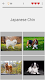 screenshot of Dogs Quiz - Guess All Breeds!