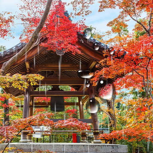 Zen Garden Live Wallpaper logo