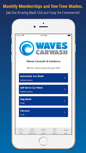 Waves Car Washes Screen 3