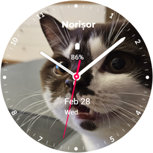 NorCats Download on Windows