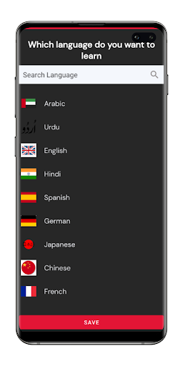 LangFlix Screen 2