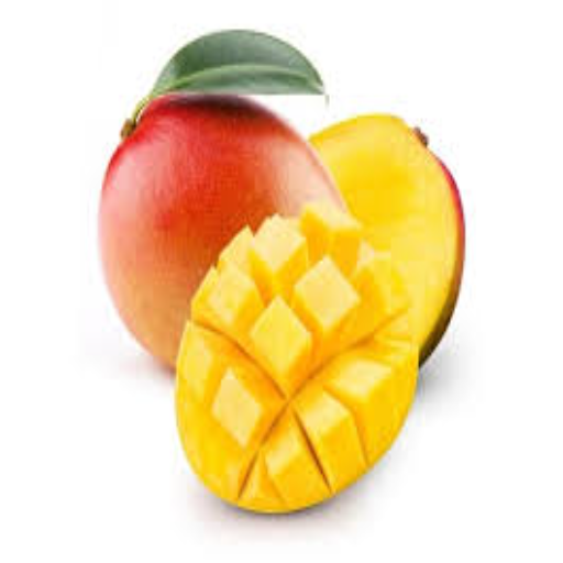 FruitAppJH Download on Windows