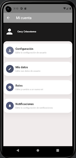 Ligas fútbol Screen 2