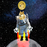 Cover Image of Download DogeCoin To The Moon & Beyond  APK
