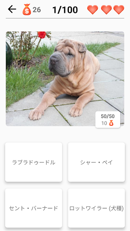 Game screenshot 犬の品種 - 犬に関するクイズ！ apk download
