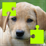 Puppy Puzzles & Dog Jigsaw - Rompecabezas icon