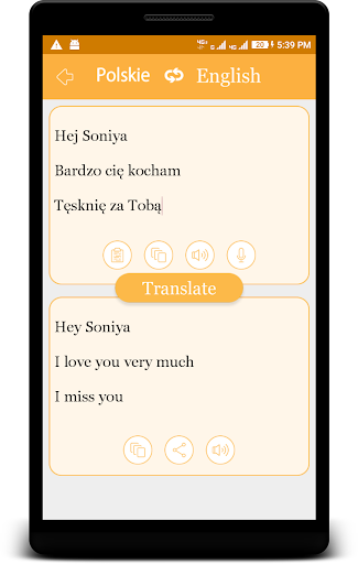 Polish - English Translator (P Screen 2